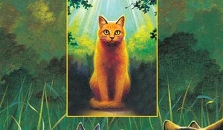 Коты-воители